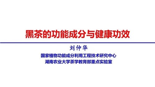 茶的功能成分與健康功效 | 茶、飲茶與健康