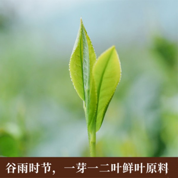 5301小罐茶 5301小罐茶