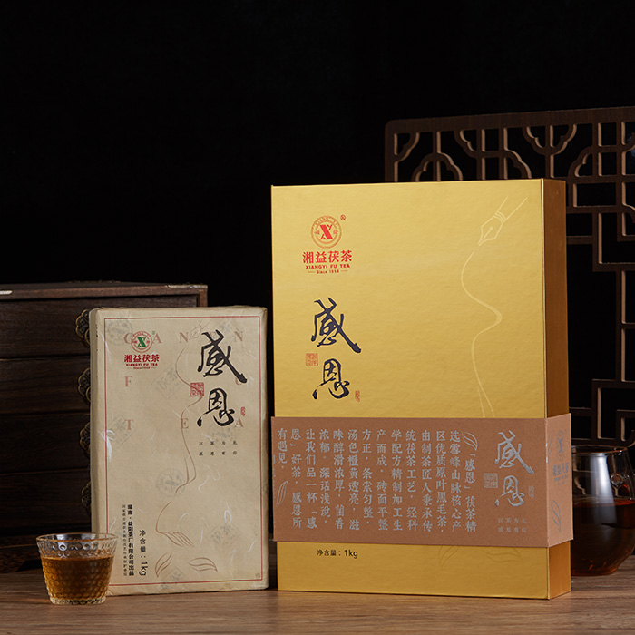 感恩 感恩
