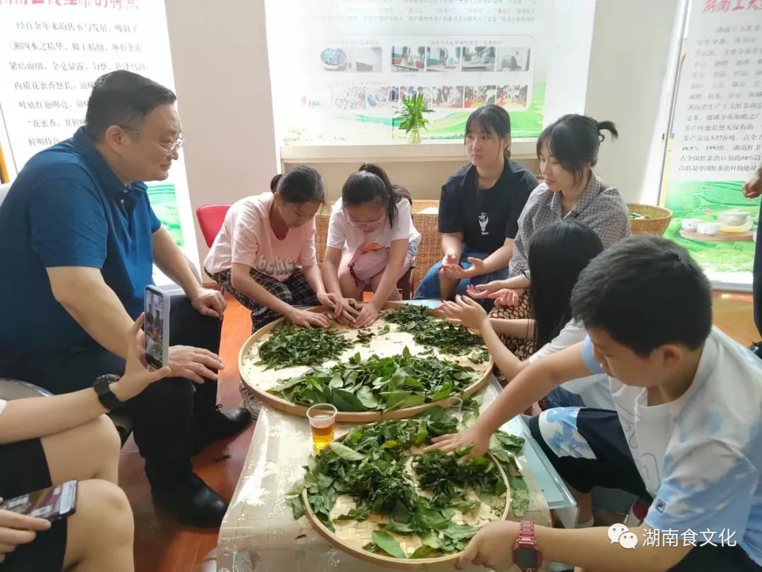 原載人民日?qǐng)?bào)“人民視點(diǎn)”茶葉是怎樣做出來(lái)的？湖南大、中、小學(xué)生體驗(yàn)湖南工夫紅茶制作